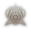 class logo